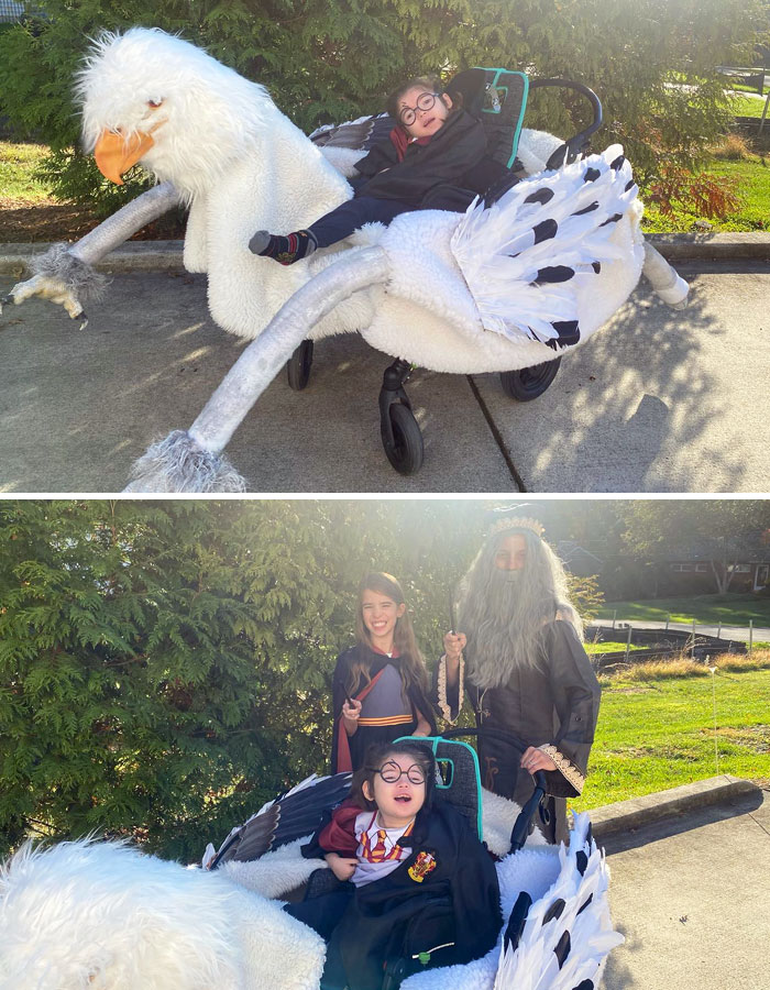 Presenting Harry Potter And Buckbeak. She Looks Pretty Fantastic, I Must Say. Even Hermione And Dumbledore Showed Up To Take A Few Pictures