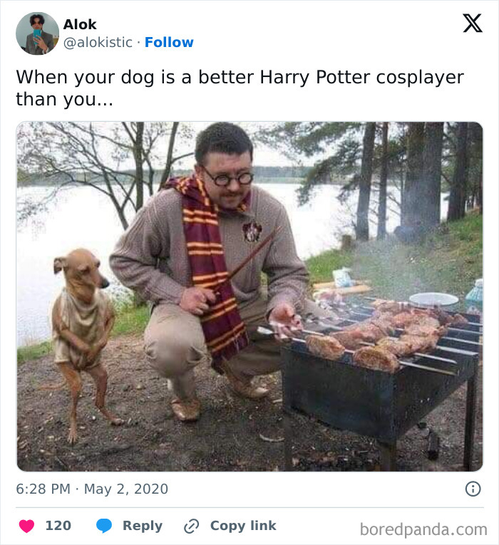 A man and a dog, dressed in Harry Potter cosplay, grill meat on a barbecue in a forest setting.