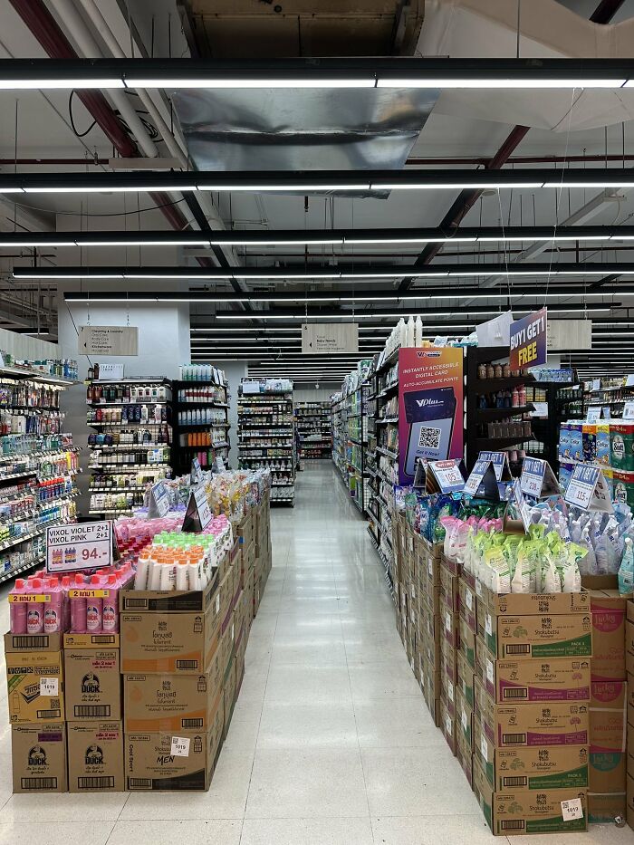 Cute-There-Is-No-Cat-Images