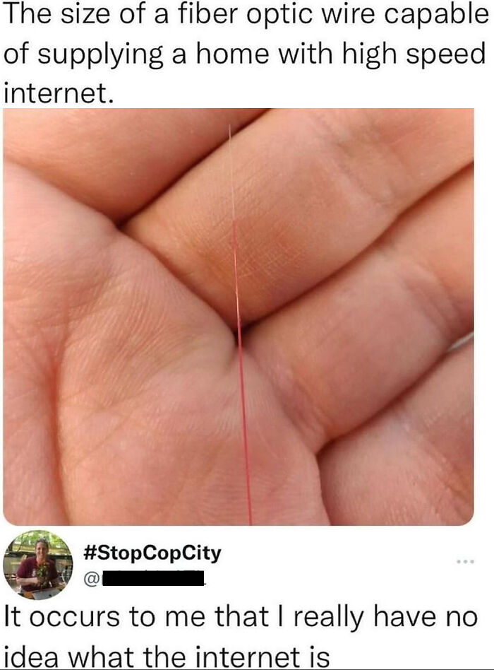 Top-Comments-Funny-Epic-Pics