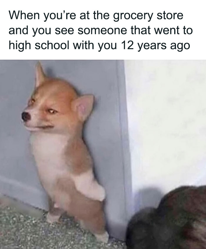 Funny and relatable introvert meme showing a shy dog awkwardly hiding behind a wall at a grocery store encounter.