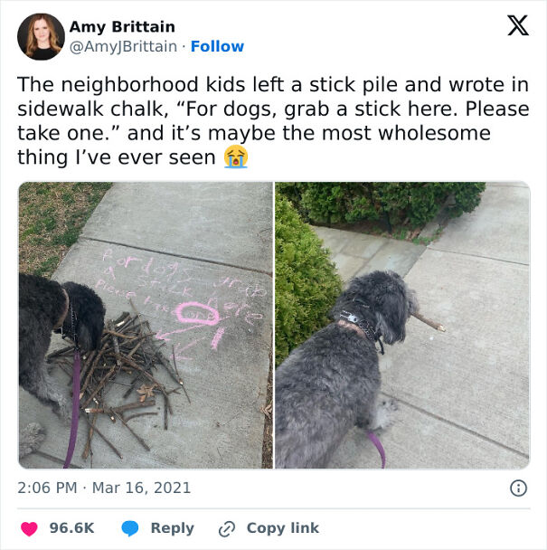 Dog picks a stick from a sidewalk pile with chalk message saying, "For dogs, grab a stick here," creating a funny, relatable moment.
