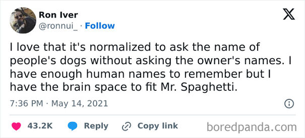 A tweet humorously about dog owners remembering dog names but not human names, mentioning Mr. Spaghetti.