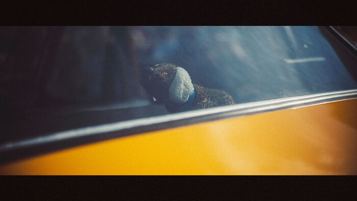 I Went To A Vintage Car Show And Captured Some Details (14 Pics)