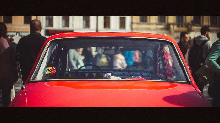 I Went To A Vintage Car Show And Captured Some Details (14 Pics)