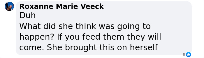 Wild Raccoons Who Were Being Fed By Woman For 35 Years Turn Aggressive, Get 911 Called On Them