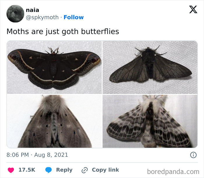 Goth-Style-Memes