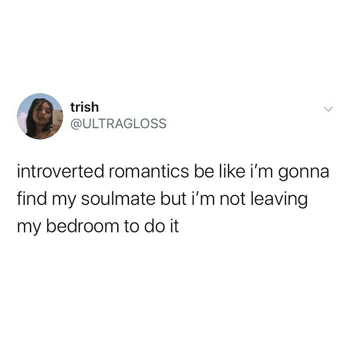 Screenshot of a funny relatable meme about introverted romantics finding soulmates without leaving their bedroom, highlighting introvert life.