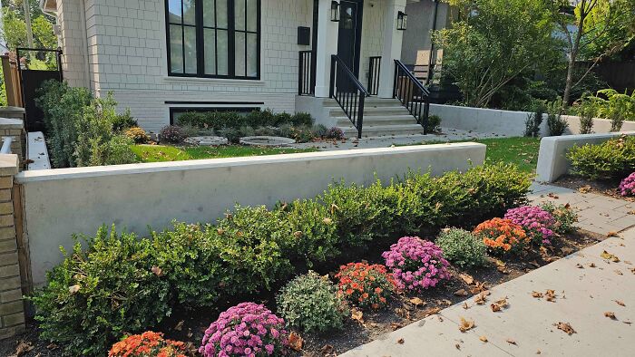 Cute-There-Is-No-Cat-Images