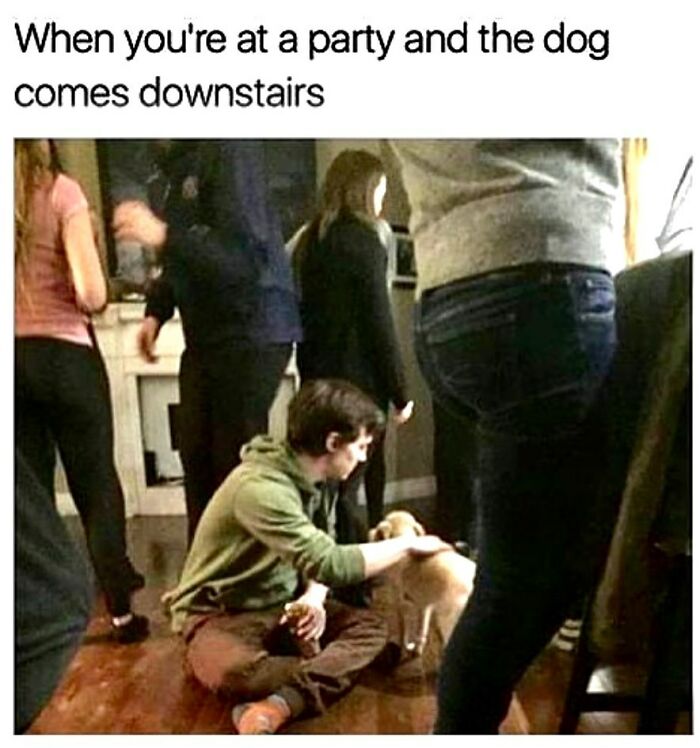 Young introvert sitting on the floor at a crowded party, happily petting a dog, capturing relatable introvert life moments.