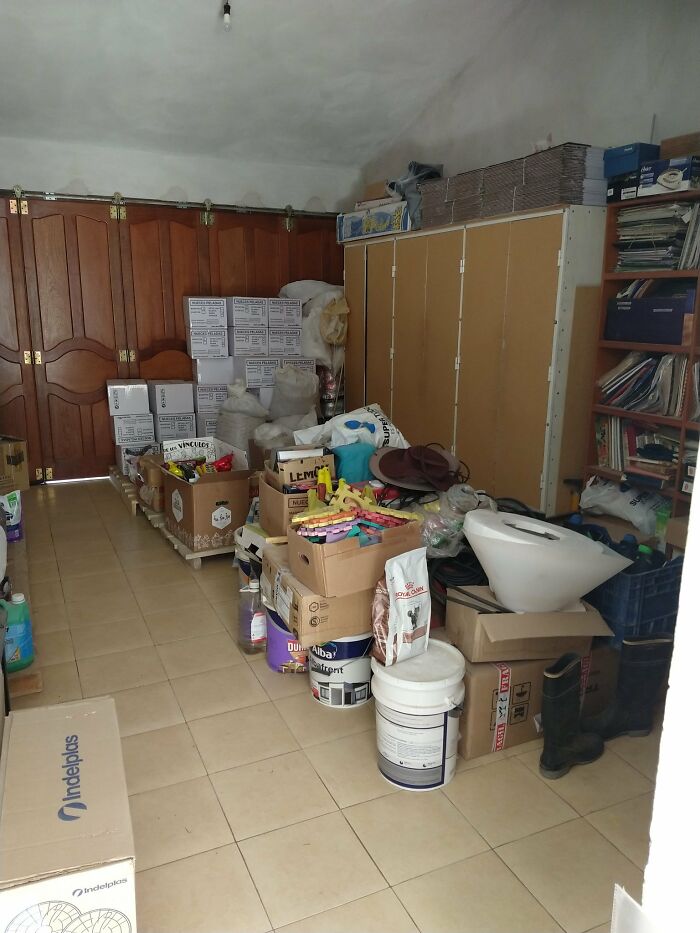 Cute-There-Is-No-Cat-Images