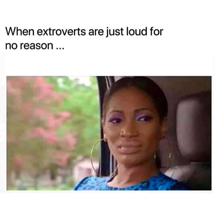 Woman making a skeptical face in a car window meme about extroverts, representing funny and relatable introvert memes.
