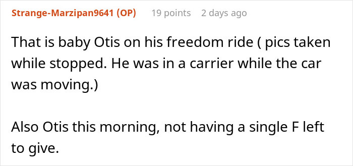 Girl Loses It When Woman Adopts A Cat She Wanted At The Shelter As Punishment For Torturing It