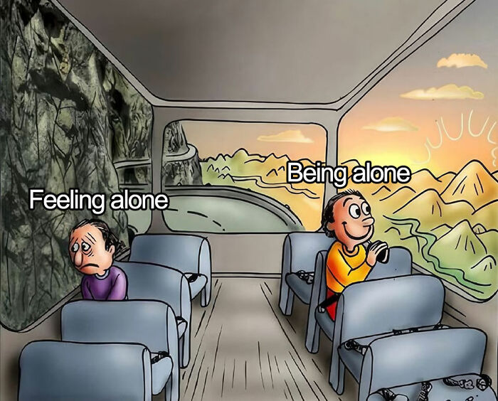 Cartoon meme illustrating the difference between feeling alone and being alone, capturing life as an introvert humor.