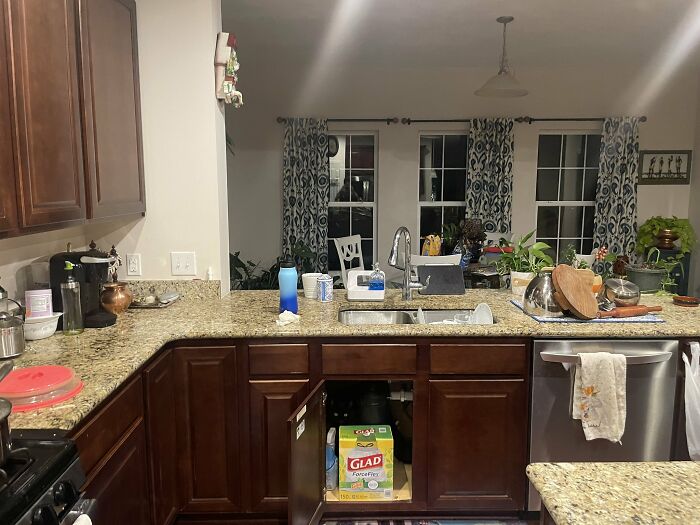 Cute-There-Is-No-Cat-Images