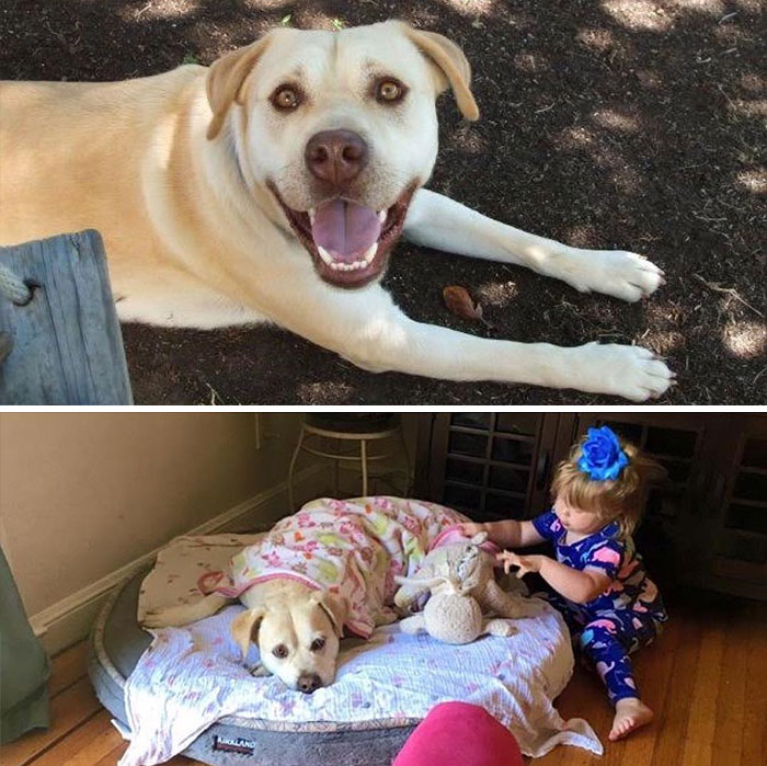 Best-Before-After-Having-Kids-Got-Toddlered