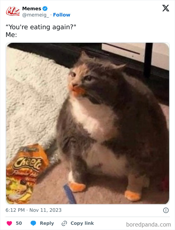 Funny-Chonky-Woofers-For-My-Depression-Memes