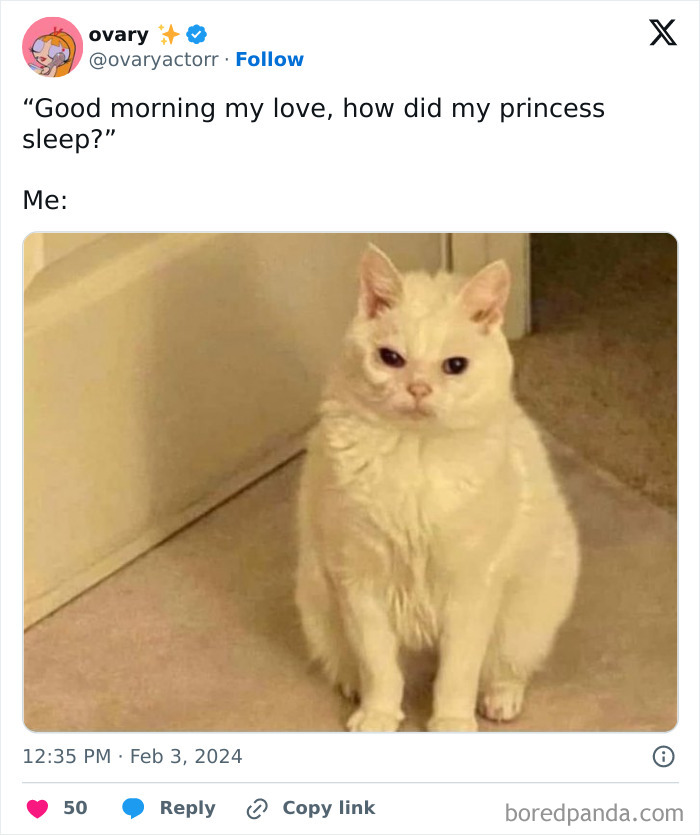 Funny-Chonky-Woofers-For-My-Depression-Memes