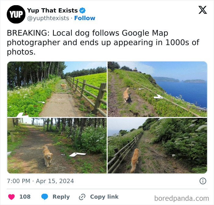 Funny-Chonky-Woofers-For-My-Depression-Memes