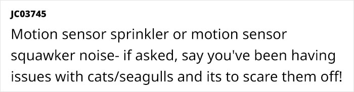 Homeowner Reaches Breaking Point As Neighbor’s Toddler Trashes Her Garden While Mom Stands By Homeowner Reaches Breaking Point As Neighbor’s Toddler Trashes Her Garden While Mom Stands By