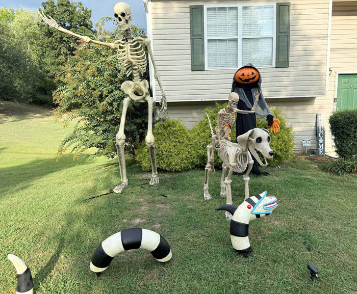 First-Year Decorating