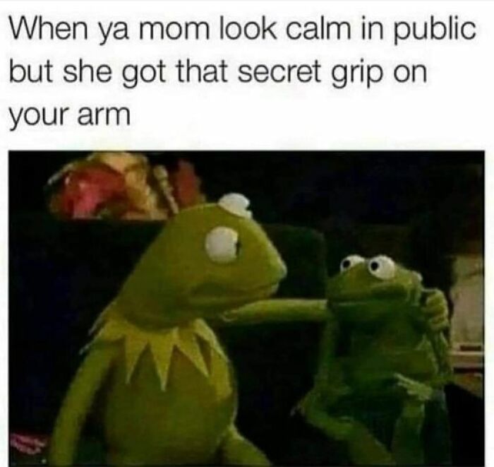 Kermit meme showing unexpected humor with two frogs, one gripping the other's arm.