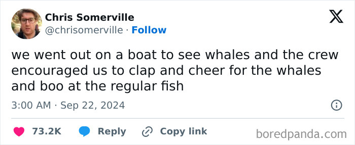 Extremely-Wholesome-Memes