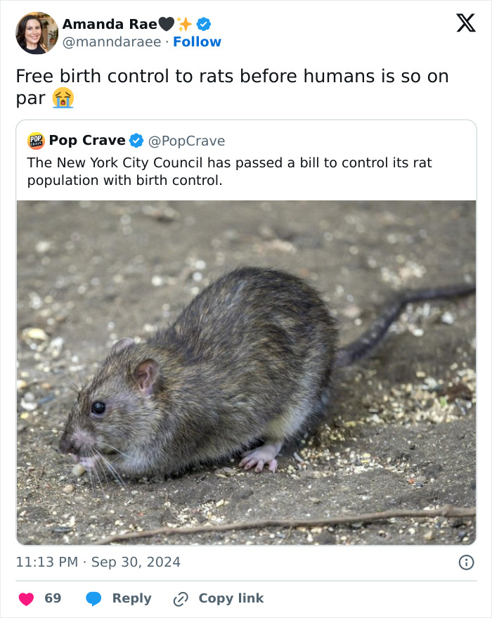 "Rat Birth Control" Bill Passed In New York City Sparks Outrage: "I Can't Get An Abortion" "Rat Birth Control" Bill Passed In New York City Sparks Outrage: "I Can't Get An Abortion"