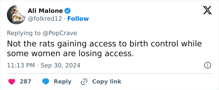 "Rat Birth Control" Bill Passed In New York City Sparks Outrage: "I Can't Get An Abortion" "Rat Birth Control" Bill Passed In New York City Sparks Outrage: "I Can't Get An Abortion"