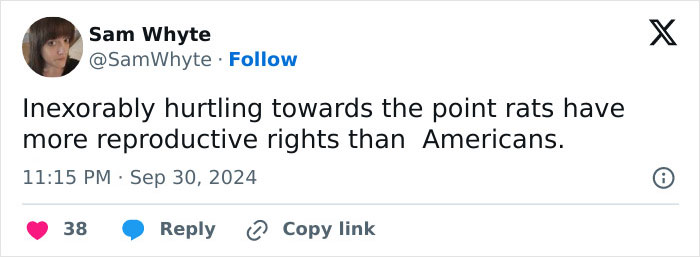 "Rat Birth Control" Bill Passed In New York City Sparks Outrage: "I Can't Get An Abortion" "Rat Birth Control" Bill Passed In New York City Sparks Outrage: "I Can't Get An Abortion"