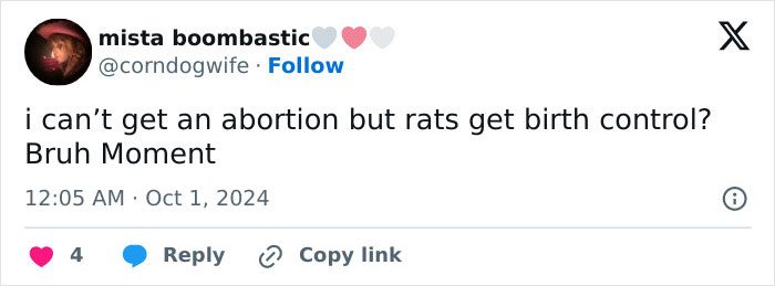 "Rat Birth Control" Bill Passed In New York City Sparks Outrage: "I Can't Get An Abortion" "Rat Birth Control" Bill Passed In New York City Sparks Outrage: "I Can't Get An Abortion"
