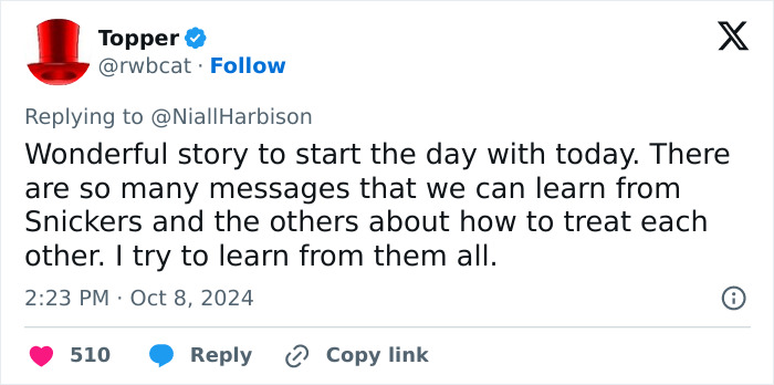 Stray Dog Is Melting Hearts Online For Bringing A Gift For Man Every time He Comes To Feed Her