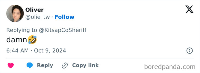 "Her Own Damn Fault!": Woman Calls 911 After Over 100 Raccoons Swarm Her Yard "Demanding Food"