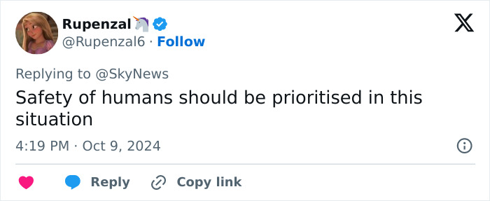 Experts Reveal What You Should And Shouldn&rsquo;t Do In A Hurricane After A Lot Of Bad Ideas Go Viral