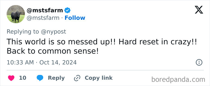 Boss Put On Leave For Allegedly Prioritizing Candidates’ Qualifications Over Gender Identity Boss Put On Leave For Allegedly Prioritizing Candidates’ Qualifications Over Gender Identity