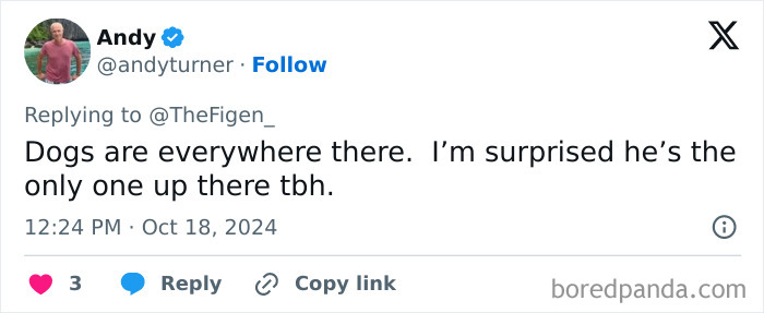 &ldquo;It&rsquo;s His Now&rdquo;: Viral Dog That Climbed The Pyramid Of Giza Finally Comes Down