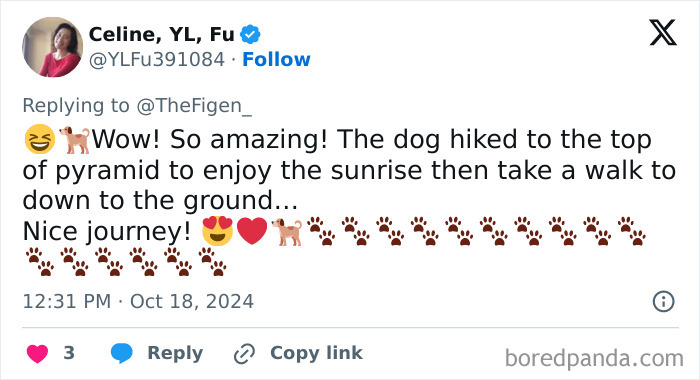 &ldquo;It&rsquo;s His Now&rdquo;: Viral Dog That Climbed The Pyramid Of Giza Finally Comes Down