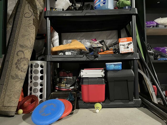 Cute-There-Is-No-Cat-Images