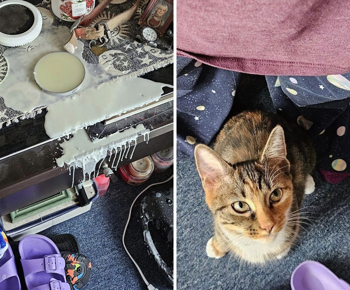 Two Weeks! She Hasn't Bothered The Wax Warmer For Two Weeks