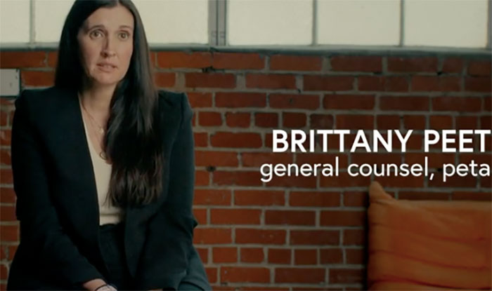 PETA Lawyer Exclusively Opens Up Amid Before And After Photos Of Tonka From &ldquo;Chimp Crazy&rdquo;