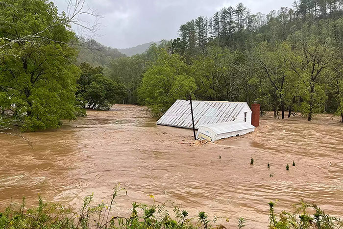 Cat Floats Away During Flood, Family Finds Him Chilling At Home When They Return A Week Later