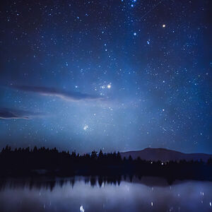 meredithalane avatar