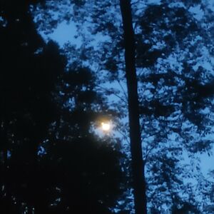 nevaehhockman70 avatar