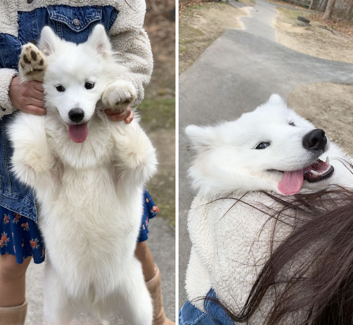 Proud Criminal Under Arrest For Squirrel Chase