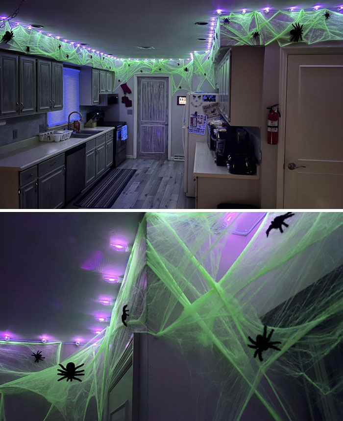 Should I Call An Exterminator Or Just Burn The House Down?