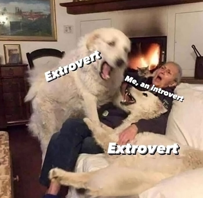 A person labeled introvert overwhelmed by two large dogs labeled extrovert, illustrating funny and relatable introvert memes.