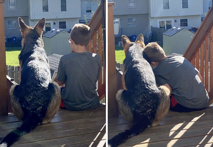 A boy and a German Shepherd sitting together on a porch, capturing an adorable animal moment.