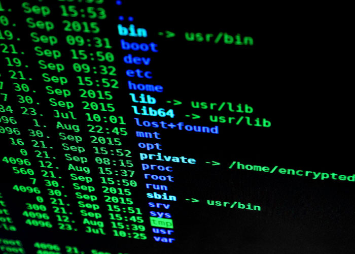 People Shared What 30 Skills They Acquired That Are No Longer Needed