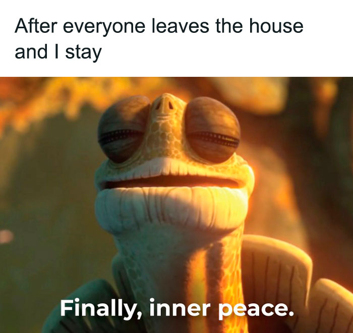 A smiling cartoon turtle enjoying quiet time alone, representing relatable introvert life memes.