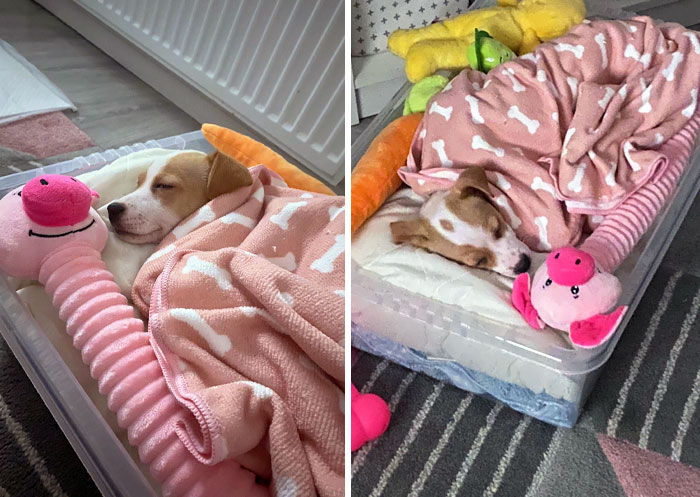 She Sleeps Like She Works 9-5